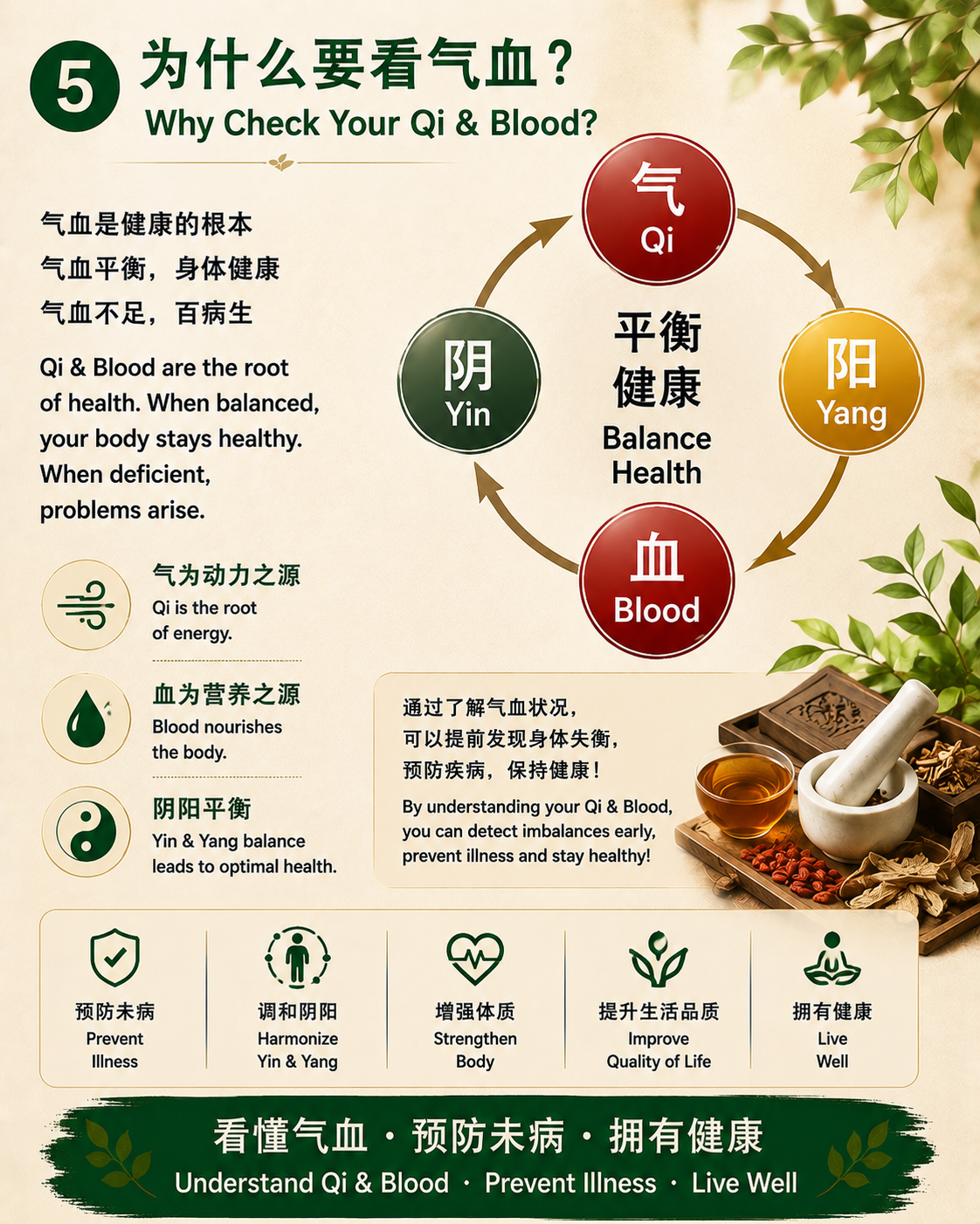 🔥看懂你的健康密码！卿松养生疗愈线下课 只需 $39