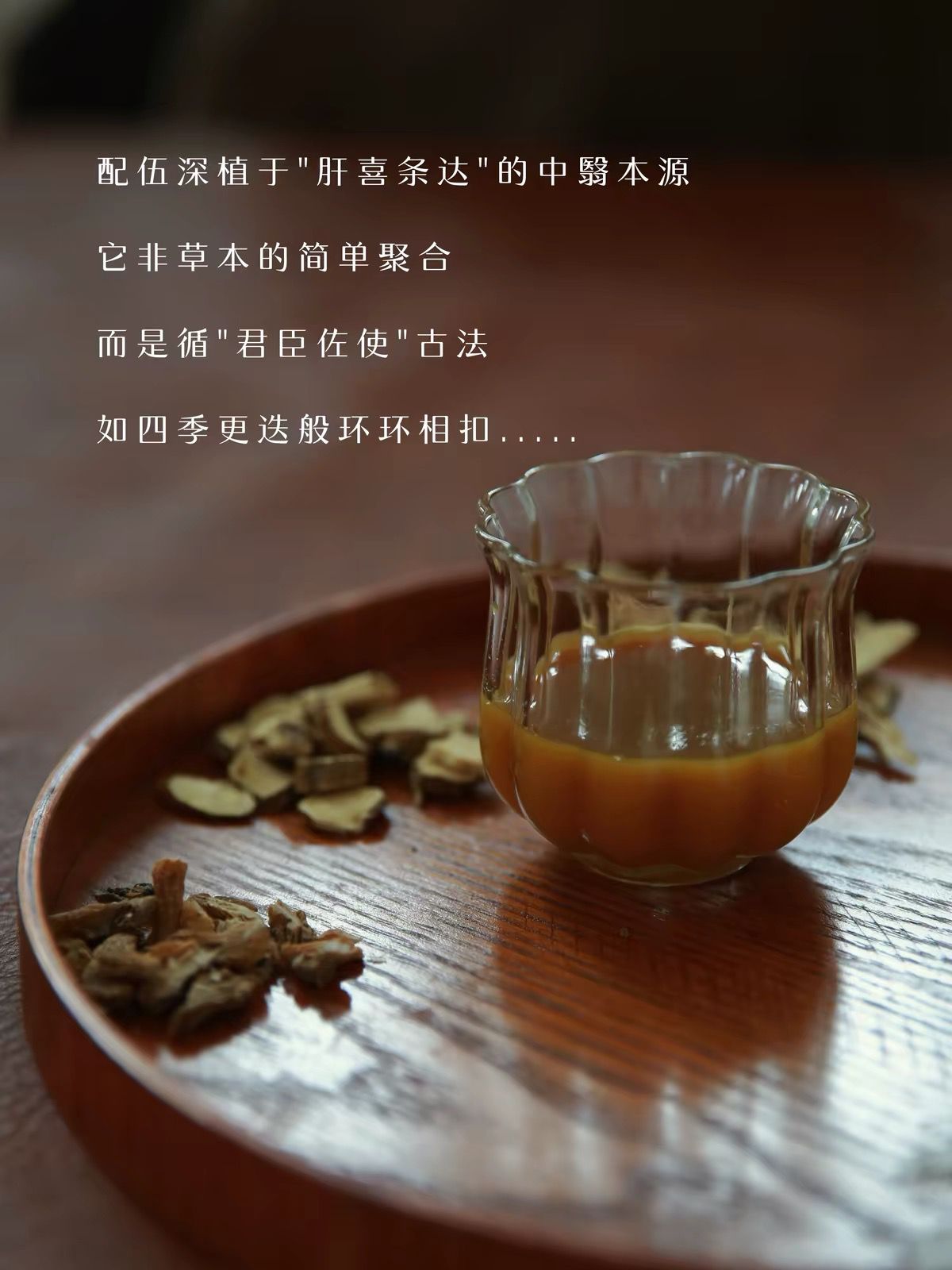 卿松｜元气粉 Yuan Qi Powder